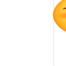 엘에스에프엔씨