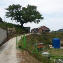 살구나무집민박 이미지