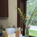 브라운피크닉 이미지