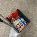 홍꽁 로고