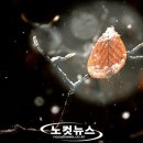 구암이용원 - 창원시 마산회원구 구암서2길 36 | 구암이용원