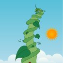 콩이야기 이미지