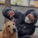 반려견 셀프미용 이미지