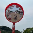 북촌손만두스퀘어원점 | 경기장(ssg랜더스필드) 쓱스타전 내야필드석 202구역 시야 및 직관 후기 (크림새우, 북촌손만두, 컵물회)