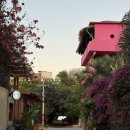 애플힙걸 | Puerto Escondido 살 앙 애 🇲🇽 #7