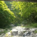 이현농장 이미지