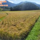 사등초등학교병설유치원 이미지