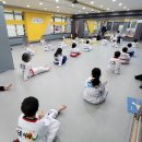 용인대 명문 태권도장 이미지
