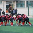 합성초등학교 이미지