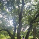 청길강변로 이미지