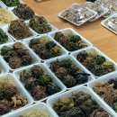 인천남부종합시장 | 인천 신기시장 정월대보름 마른나물.오곡찰밥 맛집 남부종합시장 신기촌당진민속떡집