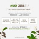 아름시 이미지