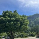 나리촌식당 이미지