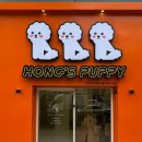 인천강아지분양 홍스퍼피 본점 이미지