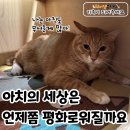 아치의 세상은 언제쯤 평화로워질까요? 이미지