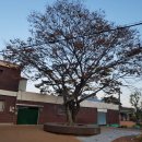 하촌마을회관 이미지