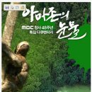 인디오가 이미지