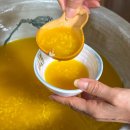 녹색농심인삼체험마을 이미지