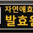 펑미인 이미지