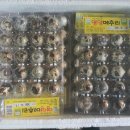 양평메추리농장 이미지