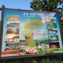 진천 신정농공단지~농다리 가로수 | 충북 여행코스 추천, 청주에서 가볼만한 곳 &#39;청남대&#39; (ft. 대통령 별장)