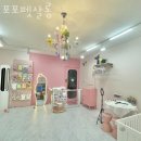 포포펫살롱 이미지