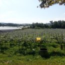 율면농장 이미지