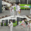 쌍용태권도장 이미지