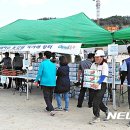 농산물대박마트 이미지