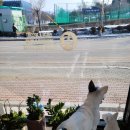 달리는커피포천신읍점 이미지