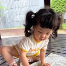 자연물들이기