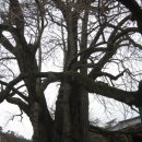 세월낚기 이미지