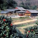 정약용의 남도 유배길(D코스) | 청자와 다산의 향기 속으로 떠나는 감성 여행, 남도의 숨은 보석, 전남 강진군