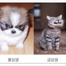 월