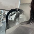 among | 신논현미용실 어몽헤어 Among Hair 신논현점 방문 후기