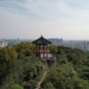 배산체육공원 건너편 이미지