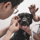 헬로동물병원 이미지