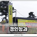 중도매인44