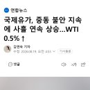 국제유가, 중동 불안 지속에 사흘 연속 상승…WTI 0.5%↑ 이미지