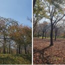 옥구공원 농구장