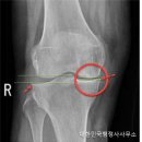 함께하는 행정사 이미지
