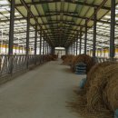 양수목장 이미지