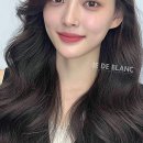 대박미용실 네이버블로그