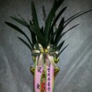 아리울당구장 이미지