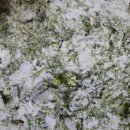 두산떡방앗간 이미지