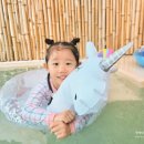 펜션 바다 이미지