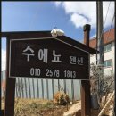 수에뇨펜션 이미지