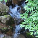 두메유기농원 이미지