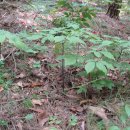 우리마당 이미지