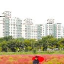 만평농원